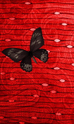 Butterfly black background Stock Photos Royalty Free Butterfly black  background Images  Depositphotos