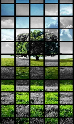 Trees Wallpaper - Download to your mobile from PHONEKY