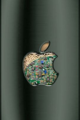 Inside the Apple: A Colorful Journey 🍏✨