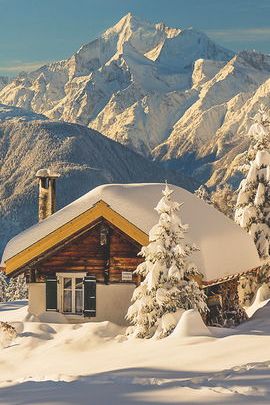 Enchanting Winter Wonderland ❄️❤️