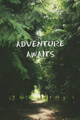 Journey into the Unknown 🌲✨