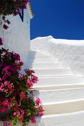 Summer Moments