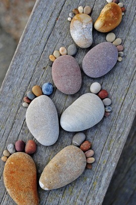 Nature's Tiny Trail: The Stone Footprints