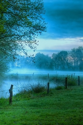 Whispering Mists of Dawn 🌫️✨