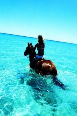 Riding the Waves: A Serene Escape