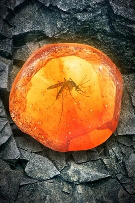 Amber Secrets: The Key to Jurassic Wonders 🦖✨