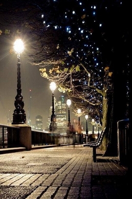 Winter's Glow: A Serene Stroll