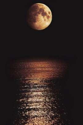 Full Moon Landscape Wallpaper - Download to your mobile from PHONEKY