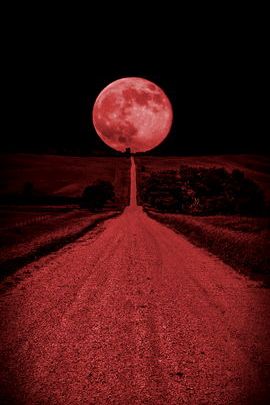 月亮之路