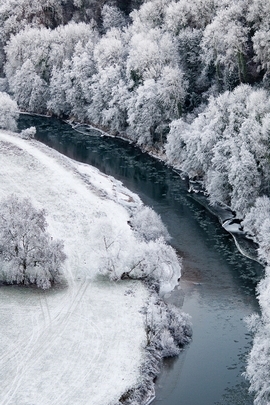 Winter's Embrace: A Serene Snowy Landscape ❄️🌲