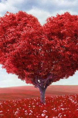 Серце Дерево