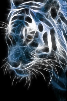 Tigre claro azul