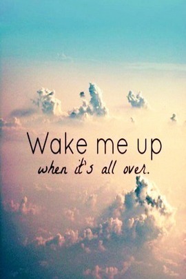 Wake Me Up