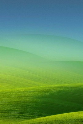 Serene Green Hillscape for Your Desktop 🌿🌅