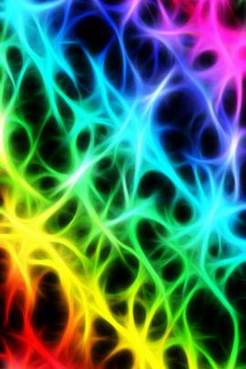 Colorful Connections: The Rainbow Nexus