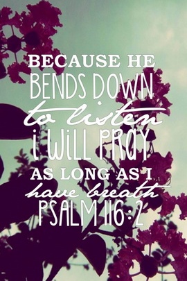 Listening Heart: A Prayerful Promise 🌸🙏
