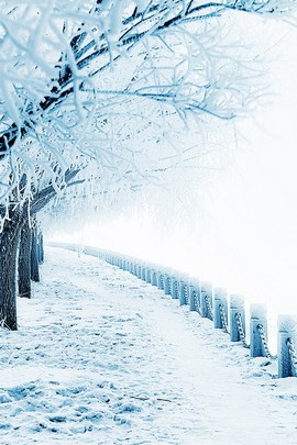 Enchanted Winter Walkway ❄️🌨️