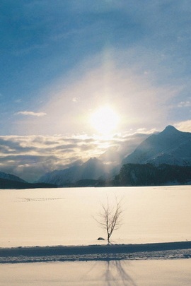 Zimowy krajobraz 01 iPhone 6 Tapety