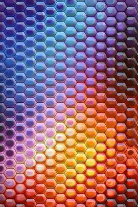 Honeycomb Delight