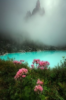 Mystical Serenity: A Glimpse into Paradise