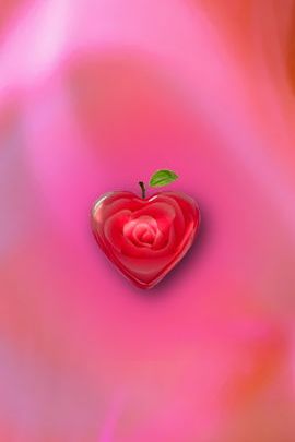 गुलाबी गुलाब दिल