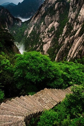 Whispers of Love in Nature's Embrace 🌿❤️