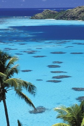 Serenity by the Sea 🌊🌴