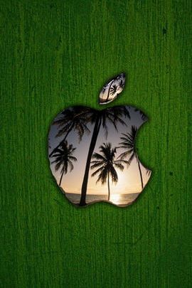 Palm Tree Apple