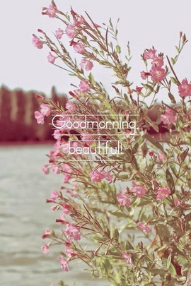 Awakening Beauty: A Morning Embrace 🌸☀️