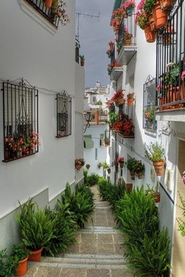 Enchanted Garden Walkway 🌸🌿