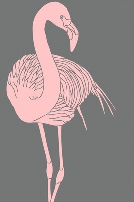 Light Pink Flamingo