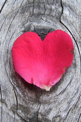 Rose Petal Heart