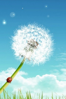 Whispers of Spring: Dandelion Dreams 🌼✨