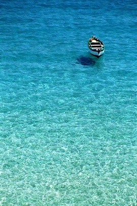 Serenity on Paraadise Sea 🌊✨