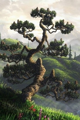 World Of Creations