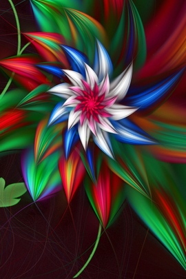 Abstract Fractal Flowers