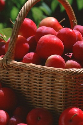 A Basket Of Plums