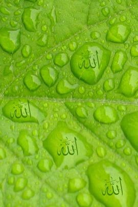 Allah im Wassertropfen