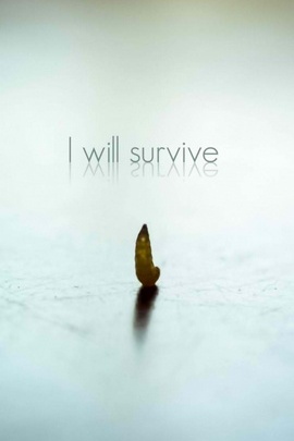 Resilience in the Face of Adversity 🌱