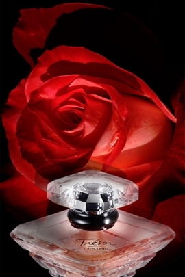 Parfüm und Rose