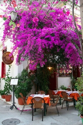 Enchanted Dining Under Blossoms 🌸✨