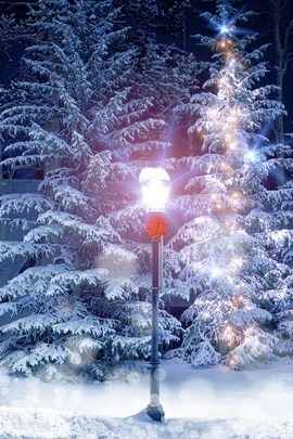 Enchanted Winter Wonderland ❄️✨