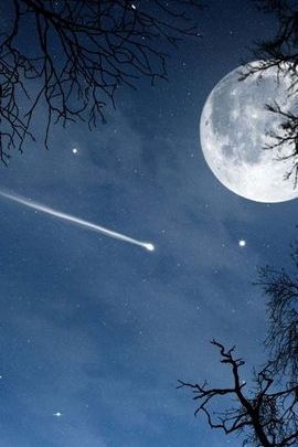 Celestial Whispers: The Night of the Shooting Star 🌠🌙