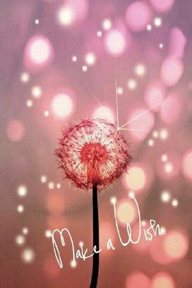 Whispers of Dreams 🌼✨