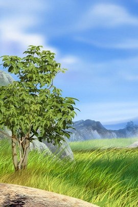 Sự thanh thản trong vòng tay của thiên nhiên 🌳✨