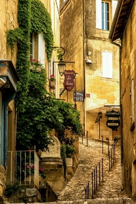 Enchanted Stroll Through a Hidden Gem 🌿✨