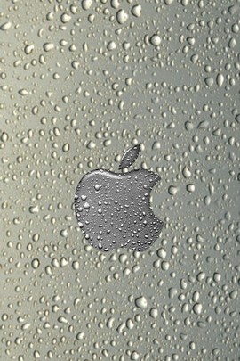 Rainy Apple Wallpaper - Download to your mobile from PHONEKY