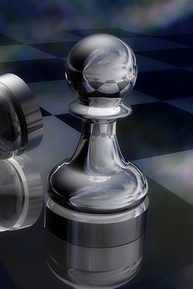 45990 Pawn Chess Stock Photos  Free  RoyaltyFree Stock Photos from  Dreamstime