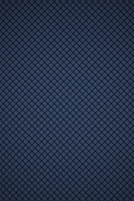 Blue Checkers