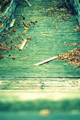 Serene Journey Through the Bluish Pathway 🌿✨